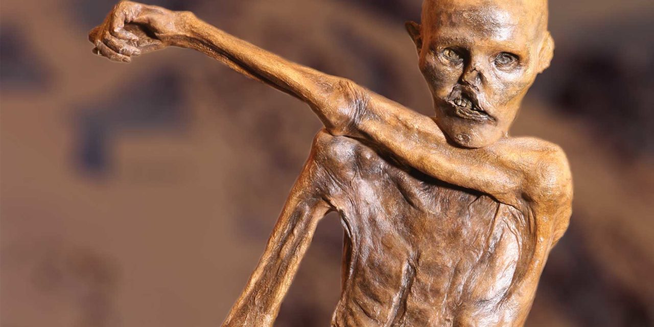 6e- Tâche complexe sur la mort d’Ötzi et étude de cas sur Béziers