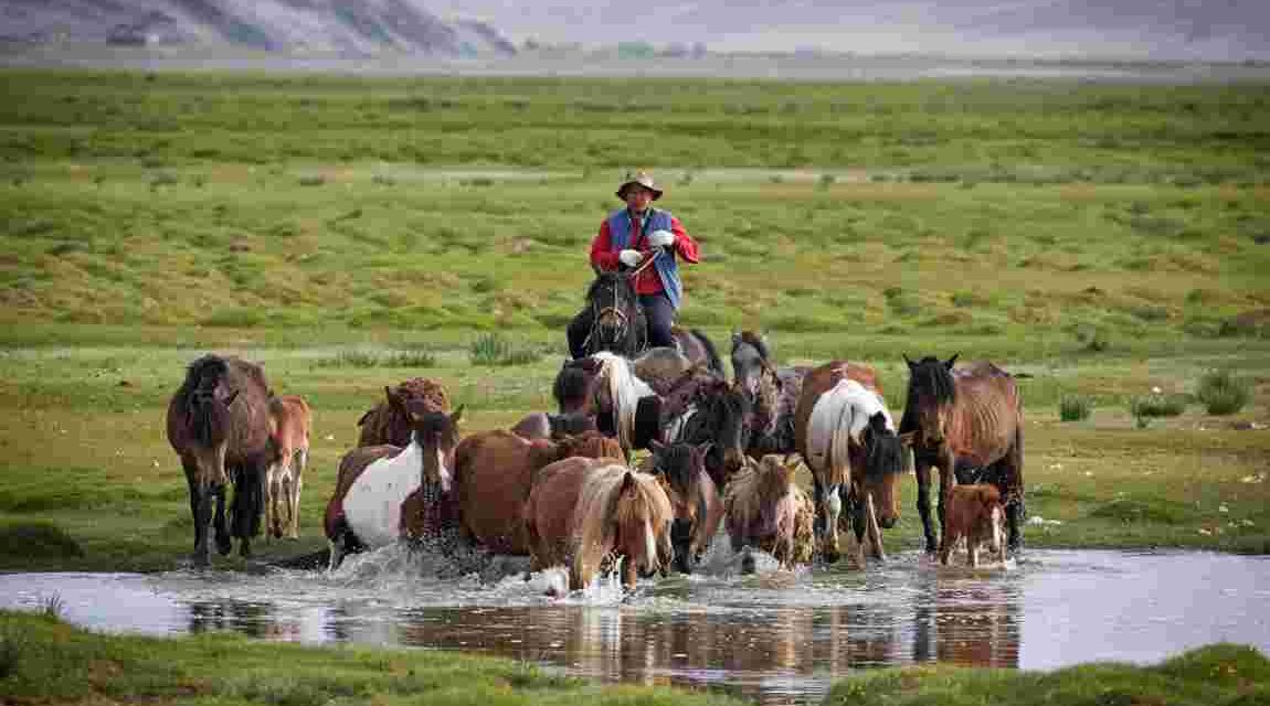 6e – Habiter un espace de faible occupation humaine: l’exemple de la Mongolie