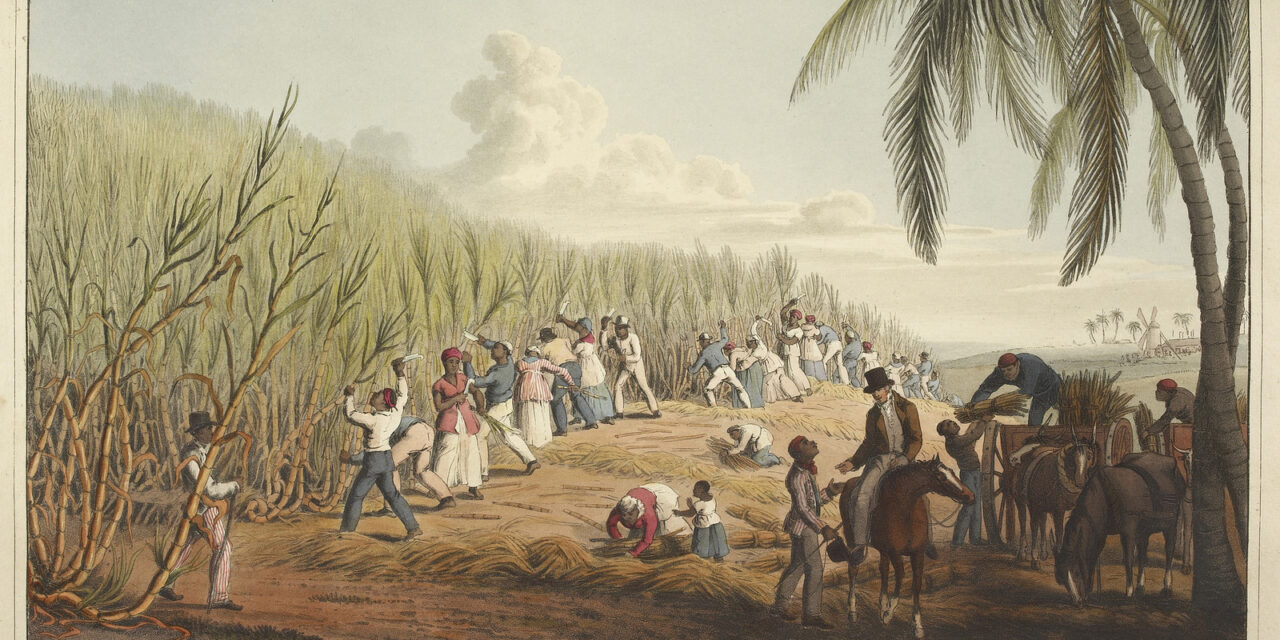 Activité : Etre esclave dans une plantation au XVIIIe siècle