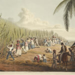 Activité : Etre esclave dans une plantation au XVIIIe siècle